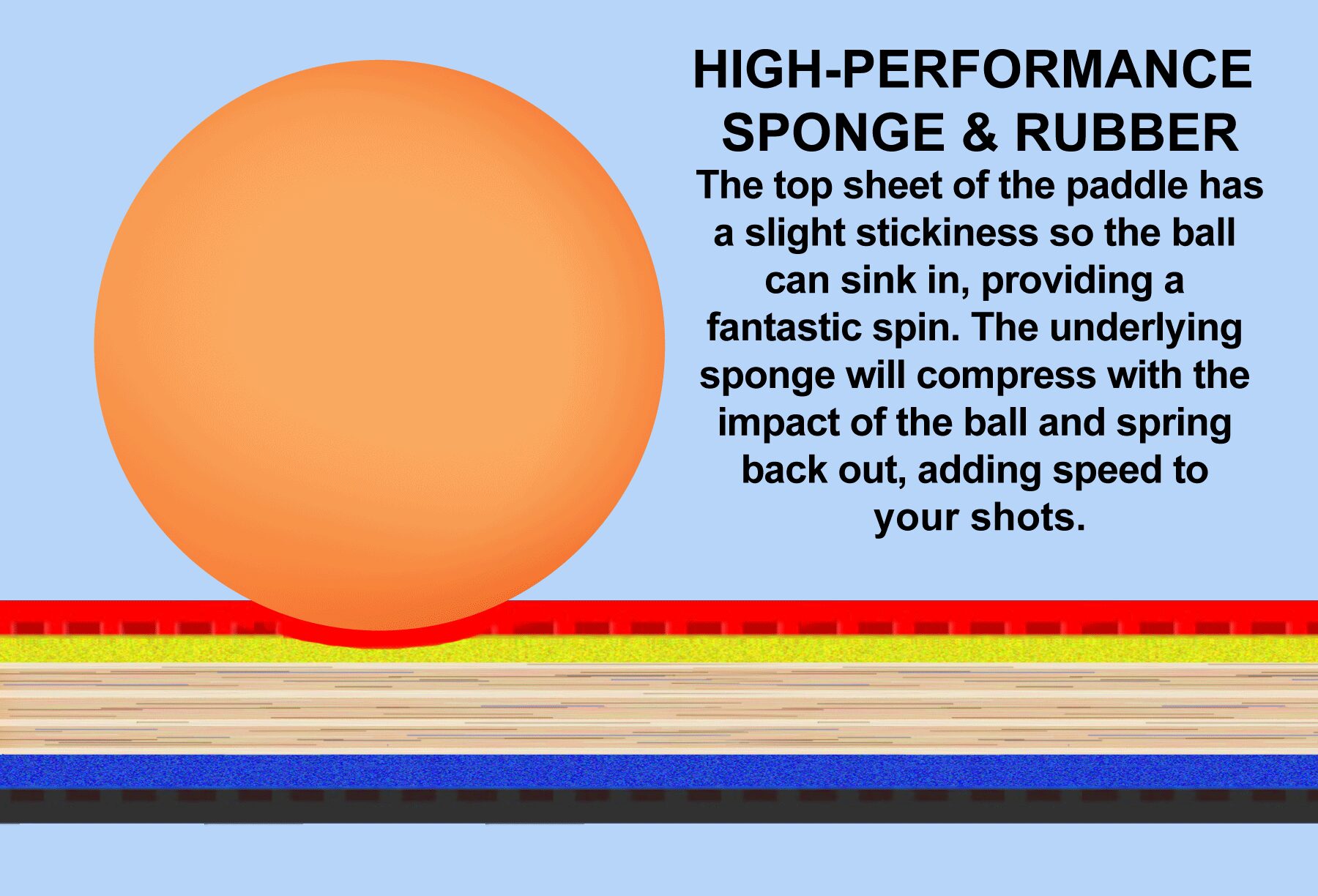 a demonstration of a ball compression the rubber and sponge on a table tennis paddle